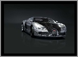 Bugatti Veyron, Czarno, Srebrne